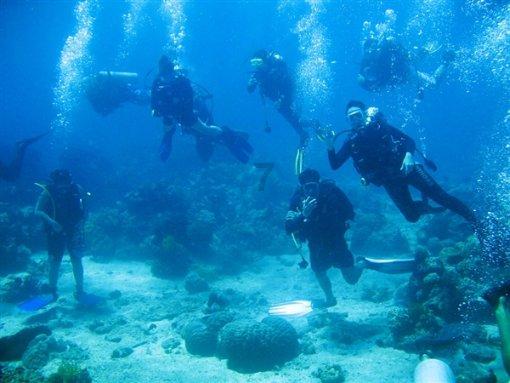 海之号角神秘海怪